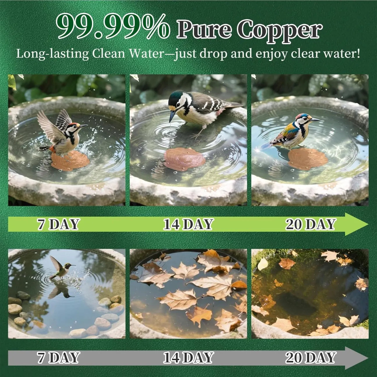 99.9% Pure Copper Bird Bath Cleaner Discs— Stop Dirty Bird Water