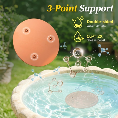 99.9% Pure Copper Bird Bath Cleaner Discs— Stop Dirty Bird Water