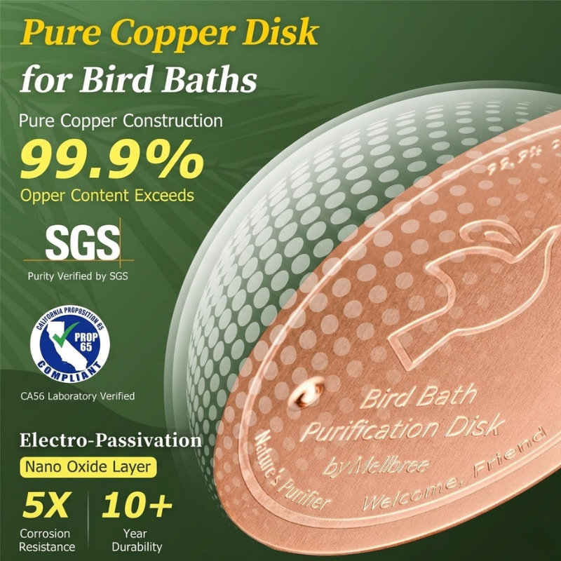 99.9% Pure Copper Bird Bath Cleaner Discs— Stop Dirty Bird Water
