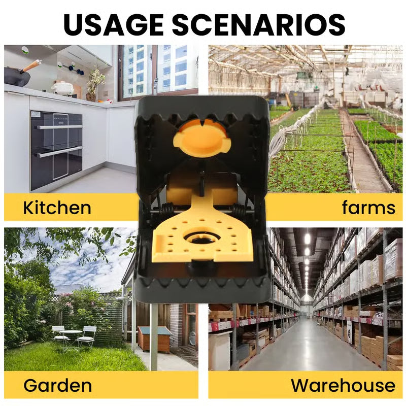 Humane Mouse Control — Simple, Safe & Effective