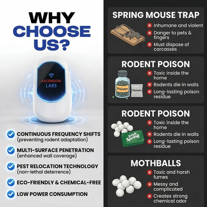 Rodent Zero Radar