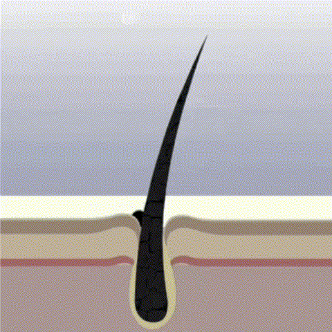 Rediscover Your Confidence: The Secret to Thicker, Fuller Hair is Here