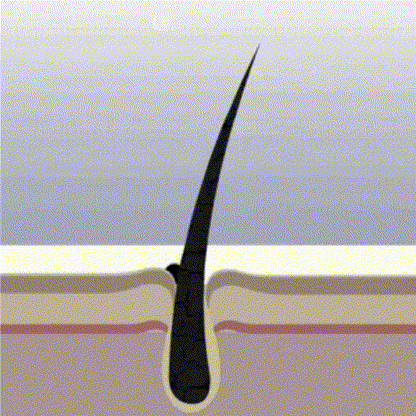 Rediscover Your Confidence: The Secret to Thicker, Fuller Hair is Here