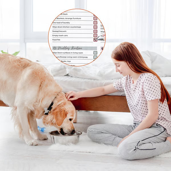 Household Daily Cleaning Schedule Planner