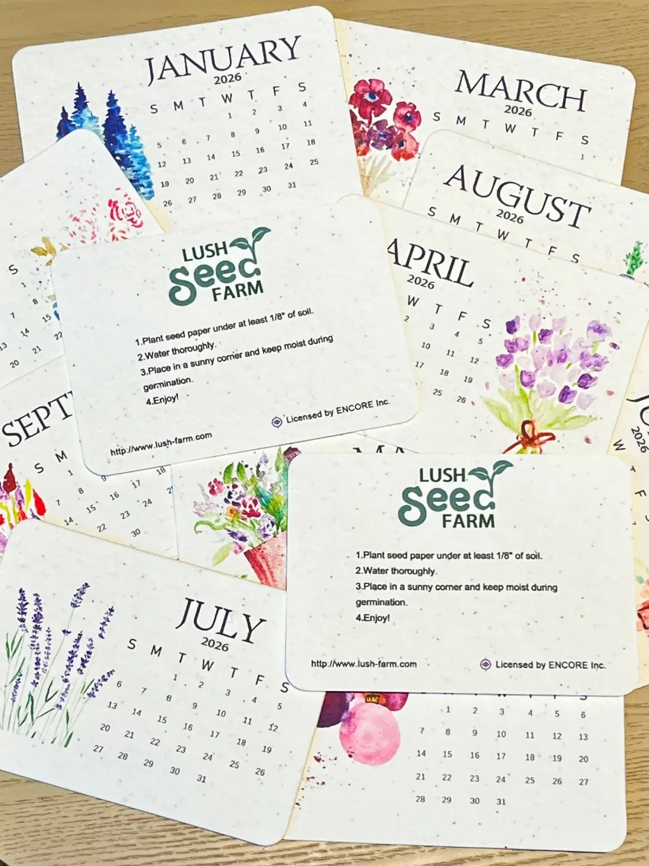 🌸New Arrivals Limited Time Offer 🌱Eco-Friendly Plantable Love Seed Calendar 2026